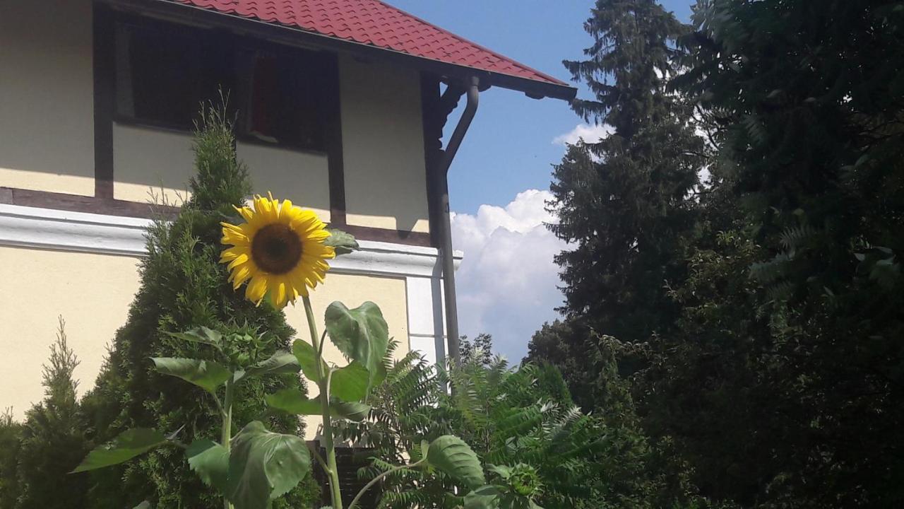 Penzion Pod Orechom Turčianske Teplice エクステリア 写真
