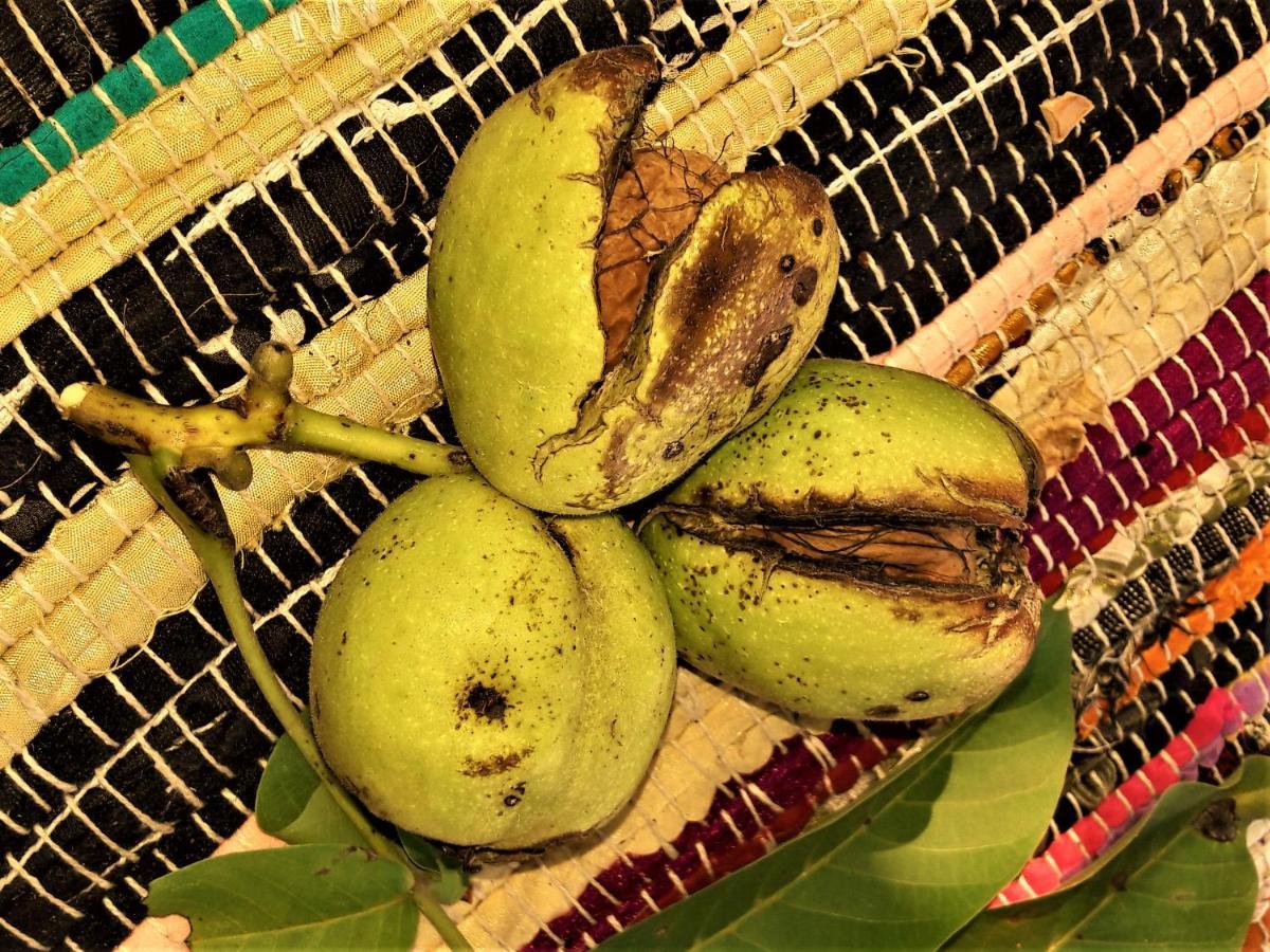 Penzion Pod Orechom Turčianske Teplice エクステリア 写真