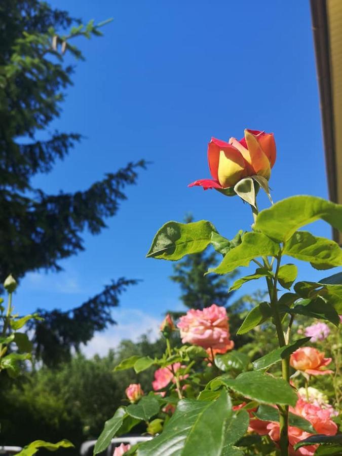 Penzion Pod Orechom Turčianske Teplice エクステリア 写真