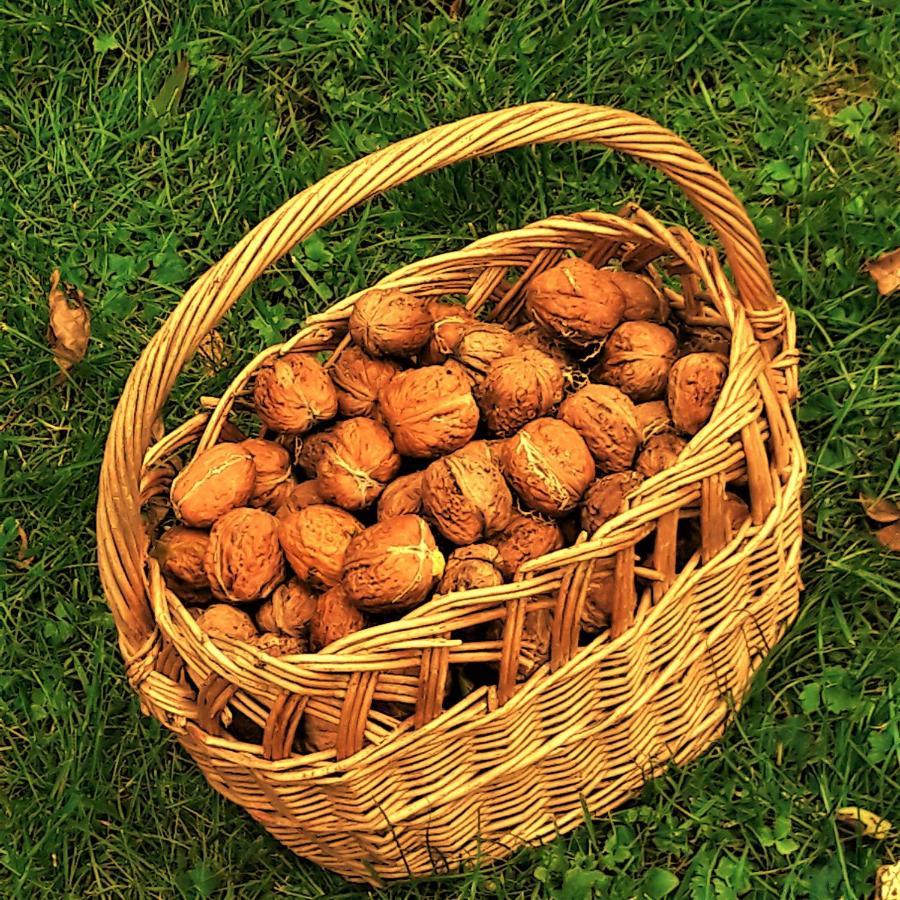 Penzion Pod Orechom Turčianske Teplice エクステリア 写真