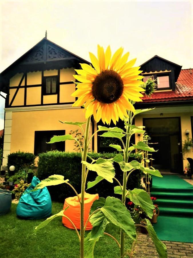 Penzion Pod Orechom Turčianske Teplice エクステリア 写真