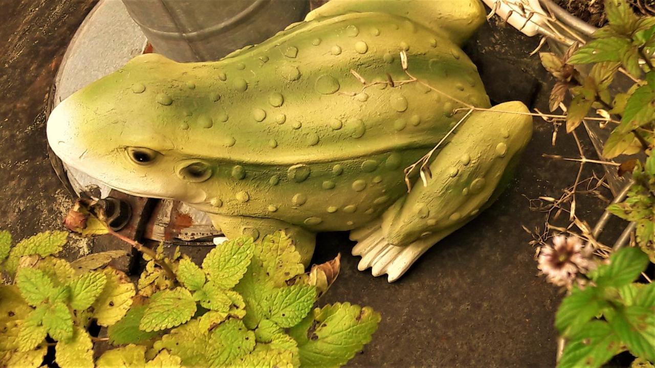 Penzion Pod Orechom Turčianske Teplice エクステリア 写真